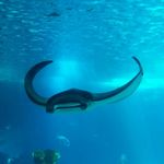 chris nestor - @floatinginthisworld - Instagram