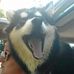 Chris Newberry - Facebook
