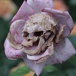 @chris_newberry_ - Instagram