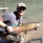 Chris Newbold - @newboldguitar - Instagram