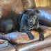 Chris Newlin - Facebook