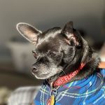 Chris P. Nicastro - @zebenme73 - Instagram
