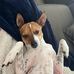 Chris Niederer - Facebook