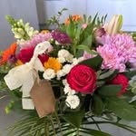 Christine Niederer - @christine.niederer - Instagram