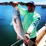Chris Nigro - @chrispics85 - Instagram