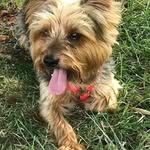 Chris normandeau - @chris_normandeau517 - Instagram