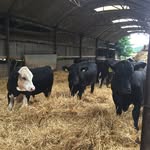 Chris Nott - @chris_the_farmer_17 - Instagram