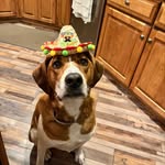 Chris Nowicki - @nowicki7426 - Instagram