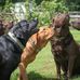 Kris Nowicki - Facebook