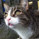 Chris Ober - @chris_ober_007 - Instagram