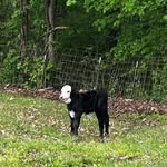 Chris Olds - @olds3234 - Instagram
