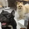 Chris olive - @chris.olive91 - TikTok