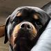 Chris Olney - Facebook