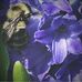 Chris Opdyke - Facebook