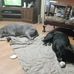 Chris Opperman - Facebook