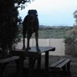 Chris Opperman - @opperman1389 - Instagram