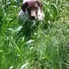 Chris Orlob - @chris.orlob - TikTok