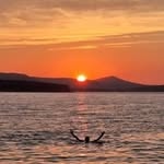 Chris Orme - @chrisorme2002 - Instagram