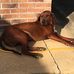 Chris Orsini - Facebook