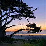 Chris Otte - @chrisottelandscape - Instagram