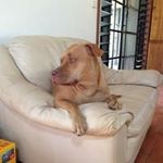 Christine Ottley - @ottleychristine - Instagram