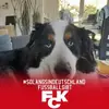 christopherottman - @christopherottman - TikTok