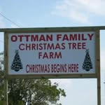 Ottman Family Christmas Tree - @ottman_family_christmas_trees - Instagram