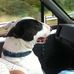Chris Palko - Facebook