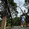 Chris Paluch - @chris.paluch - TikTok