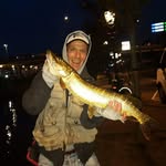 Chris Pandolfo - @pandolfo_chris - Instagram
