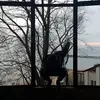 Krzysztof - @christopherpanek0 - TikTok