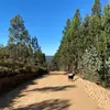 chrisparada - @christophedasilva586 - TikTok