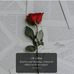 Chris Pardini - Facebook