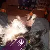 christopherpaxson1 - @christopherpaxson1 - TikTok