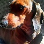 Chris Paxton - @chrispaxton59 - Instagram