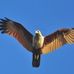 Chris Paxton - Facebook