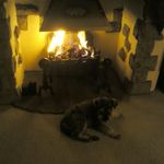 Chris Paxton - @chris1paxton - Instagram