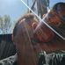 Chris Paxton - Facebook