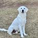 Chris Pegram - Facebook