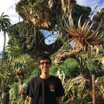 Chris Pelaez - @chrispelaez95 - Instagram