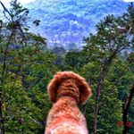 Christian Penland - @iridescent_sight - Instagram