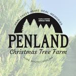 Penland Christmas Tree Farm - @penland_christmas_tree_farm - Instagram