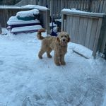 Chris Penney - @chris.penney.560 - Instagram