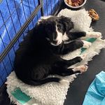 Chris Penney - @chris.penney.10 - Instagram