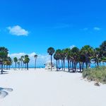 Chris Peper - @chris.peper - Instagram