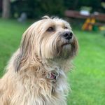 Chris Peper - @crissi1410 - Instagram