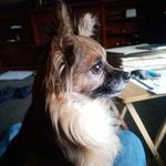 Chris Perrigo - @perrigo_chris - Instagram