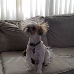 Chris Perryman - @chris_perryman - Instagram
