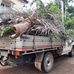 Chris rubbish removed trip runs and pick up - Facebook