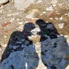 Chris.Pickle - @chris.pickle - TikTok
